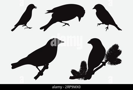 Elegant Goldfinch Silhouettes Set, Graceful Avian Forms in Exquisite Detail Stock Vector