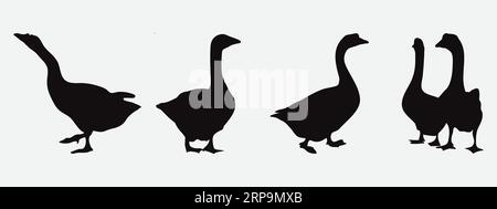 Graceful Goose Silhouettes, A Stunning Set of Elegant Waterfowl Birds in Various Poses and Moods Stock Vector