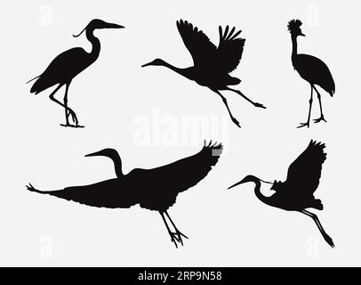Graceful Heron Silhouettes, A Comprehensive Set of Elegant Bird Forms Stock Vector