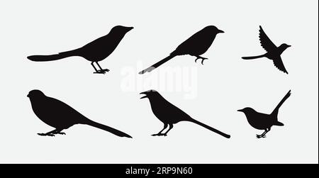 Captivating Collection of Magpie Silhouettes, A Set of Stunning Avian Formations Stock Vector