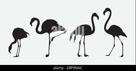 Elegance in Motion, A Comprehensive Collection of Flamingo Silhouettes Stock Vector