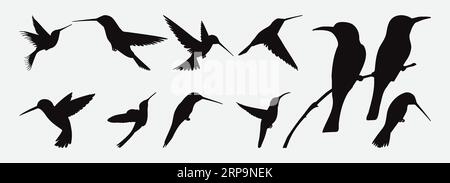 Elegance in Flight, Exquisite Silhouettes of Hummingbirds in a Stunning Vector Set Stock Vector