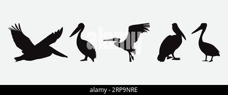 Graceful Silhouettes of Majestic Pelicans, A Set of Exquisite Bird Silhouettes Stock Vector