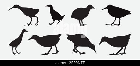 Graceful Railbird Silhouettes, A Complete Collection of Elegant Avian Poses and Shapes for Your Creative Projects Stock Vector