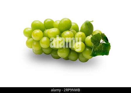 Large bunch fresh ripe organic green grape with leaves on white isolated background with clipping path. Red grape have sweet taste, juicy and deliciou Stock Photo
