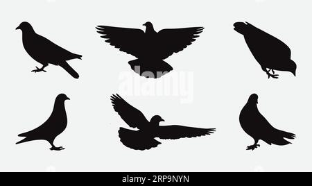 Elegant Pigeon Silhouettes Collection, Graceful Birds in Various Poses Stock Vector