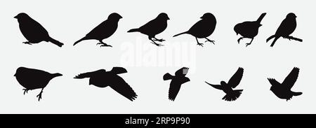 Exquisite Collection of Artistic Sparrow Silhouettes, Graceful Birds in Flight and Restful Poses Stock Vector