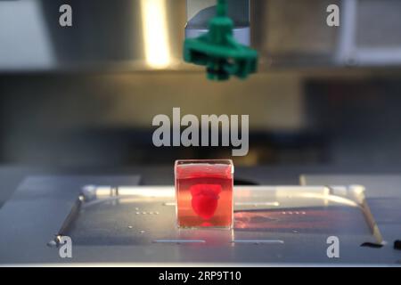 (190416)-- TEL AVIV, April 16, 2019 Photo taken on April 15, 2019 shows a 3D-printed heart with human tissue at the University of Tel Aviv in Israel. Tel Aviv University scientists said on Monday that they have printed the first 3D heart, by using patient s cells and materials. The heart, which was produced in a lab, completely matches the biological characteristics of the patient s heart. It took about three hours to print the whole heart. Making a human heart model is a major medical breakthrough. However, the printed vascularized and engineered heart is approximately 100 times smaller than Stock Photo