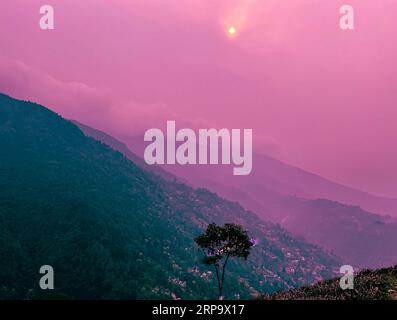 A single tree stands proudly atop a hill with bright pink clouds in the sky in the background Stock Photo