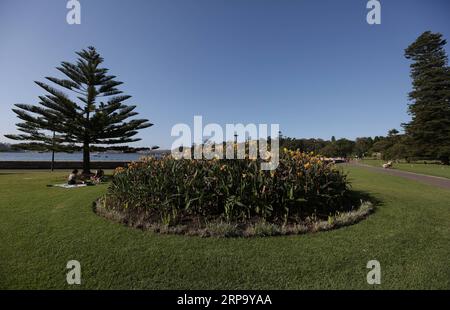 (190419) -- SYDNEY, April 19, 2019 -- People visit Royal Botanic Garden in Sydney, Australia, April 19, 2019. Royal Botanic Garden is located near the heart of Sydney, boasting a good view of Sydney Harbour, Sydney Opera House and Sydney Harbour Bridge. ) AUSTRALIA-SYDNEY-ROYAL BOTANIC GARDEN BaixXuefei PUBLICATIONxNOTxINxCHN Stock Photo