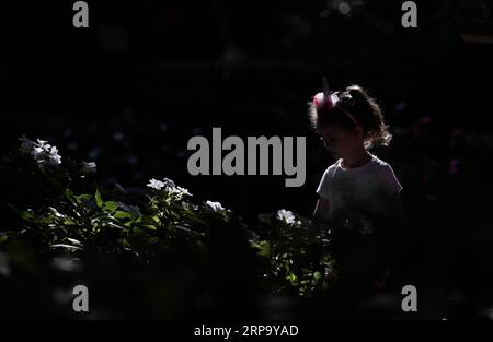 (190419) -- SYDNEY, April 19, 2019 -- A girl visits Royal Botanic Garden in Sydney, Australia, April 19, 2019. Royal Botanic Garden is located near the heart of Sydney, boasting a good view of Sydney Harbour, Sydney Opera House and Sydney Harbour Bridge. ) AUSTRALIA-SYDNEY-ROYAL BOTANIC GARDEN BaixXuefei PUBLICATIONxNOTxINxCHN Stock Photo