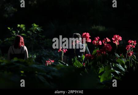 (190419) -- SYDNEY, April 19, 2019 -- People visit Royal Botanic Garden in Sydney, Australia, April 19, 2019. Royal Botanic Garden is located near the heart of Sydney, boasting a good view of Sydney Harbour, Sydney Opera House and Sydney Harbour Bridge. ) AUSTRALIA-SYDNEY-ROYAL BOTANIC GARDEN BaixXuefei PUBLICATIONxNOTxINxCHN Stock Photo