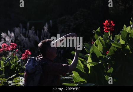 (190419) -- SYDNEY, April 19, 2019 -- A man visits Royal Botanic Garden in Sydney, Australia, April 19, 2019. Royal Botanic Garden is located near the heart of Sydney, boasting a good view of Sydney Harbour, Sydney Opera House and Sydney Harbour Bridge. ) AUSTRALIA-SYDNEY-ROYAL BOTANIC GARDEN BaixXuefei PUBLICATIONxNOTxINxCHN Stock Photo