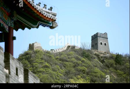 (190420) -- TIANJIN, April 20, 2019 (Xinhua) -- Photo taken on April 19, 2019 shows the Huangyaguan Great Wall in the northern suburb of Tianjin, north China. The Huangyaguan Great Wall was built more than 14 centuries ago for border defense purpose. The structure winds its way for about 3,000 meters along the mountain areas of today s Jizhou District on the outskirts of Tianjin. (Xinhua/Yue Yuewei) CHINA-TIANJIN-HUANGYAGUAN GREAT WALL (CN) PUBLICATIONxNOTxINxCHN Stock Photo