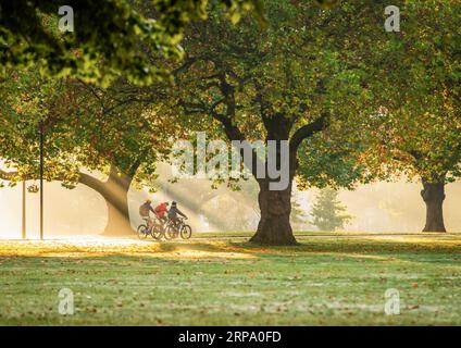 (190421) -- BEIJING, April 21, 2019 (Xinhua) -- People ride bikes at the Hagley Park in Christchurch, New Zealand, April 20, 2019. (Xinhua/Zhu Qiping) XINHUA PHOTOS OF THE DAY PUBLICATIONxNOTxINxCHN Stock Photo