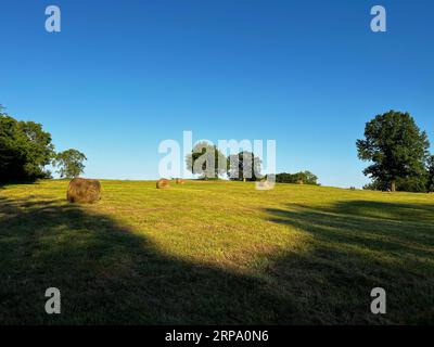 A picturesque scene of a lush grassy field on a bright sunny day, with large, round hay bales scattered throughout Stock Photo