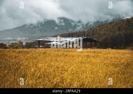 A picturesque rural landscape featuring an old wooden shed set against a backdrop of a dramatic sky Stock Photo