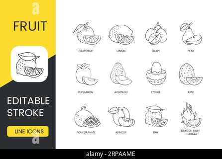 Fruits set line icons in vector, editable stroke. Dragon fruit or pitahaya, lime and apricot, pomegranate and kiwi, lychee and avocado, persimmon and Stock Vector