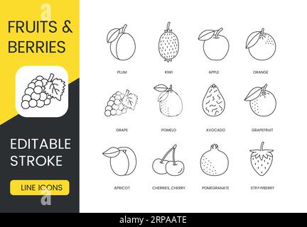 Fruits and berries set of line icons in vector, editable stroke. Strawberry and pomegranate, cherries and cherry, apricot and grapefruit, avocado and Stock Vector