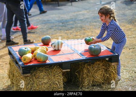 (190506) -- COLLECTOR, May 6, 2019 (Xinhua) -- A girl plays Tic-Tac-Toe with pumpkins on Pumpkin Festival in Collector, half an hour s drive from Australian capital Canberra, on May 5, 2019. The Collector Village Pumpkin Festival, falling on the first Sunday in May, is in its 16th year. The Collector Village which was normally tranquil was transformed into an amusement park on Sunday, attracting visitors from big cities to slow down and enjoy idyllic life. (Xinhua/Pan Xiangyue) AUSTRALIA-COLLECTOR-PUMPKIN FESTIVAL PUBLICATIONxNOTxINxCHN Stock Photo