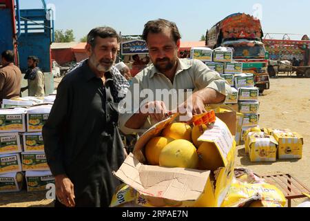 (190506) -- ISLAMABAD, May 6, 2019 -- A vendor packs melons at a fruit and vegetable market ahead of the Ramadan in Islamabad, capital of Pakistan on May 6, 2019. ) PAKISTAN-ISLAMABAD-RAMADAN-MARKET AhmadxKamal PUBLICATIONxNOTxINxCHN Stock Photo