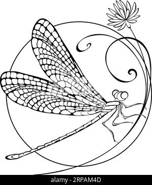 Sitting in circle on thin wild flower, artistically drawn, contoured dragonfly with detailed wings on white background. Decoration. Stock Vector