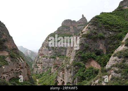 (190519) -- YONGJING, May 19, 2019 (Xinhua) -- Photo taken on May 19, 2019 shows a stone forest at Bingling Danxia National Geological Park in Yongjing County, northwest China s Gansu Province. Danxia landform is a unique type of landscapes formed from red sandstone and characterized by steep cliffs. (Xinhua/Fan Peishen) CHINA-GANSU-YONGJING-DANXIA LANDFORM (CN) PUBLICATIONxNOTxINxCHN Stock Photo