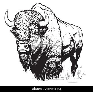 Hand drawn abstract portrait of a bison. Sticker. Vector stylized ...