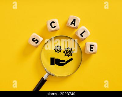Economies of scale. Cost advantages that enterprises obtain due to their scale of operation. Business concept. The word scale on wooden cubes with a m Stock Photo