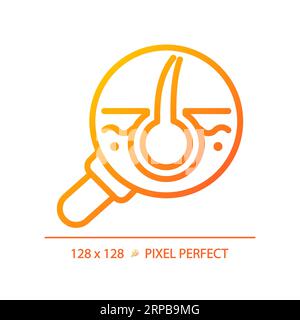 2D magnifying follicle thin linear gradient icon Stock Vector