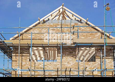 Close up of brick cavity gable end wall & roof in progress from access scaffold prefabricated timber trusses seen through window openings England UK Stock Photo