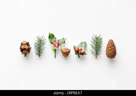 Collection of decorative Christmas plants. Acorn,  pine cones and berries. Stock Photo