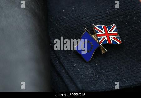 (190608) -- BEIJING, June 8, 2019 -- Photo taken on March 29, 2017 shows a badge with UK and EU flags worn by a demonstrator in London, Britain. ) Xinhua Headlines: Race for Number 10 kicks off as May ends three-year reign as Tory leader with low-key exit TimxIreland PUBLICATIONxNOTxINxCHN Stock Photo