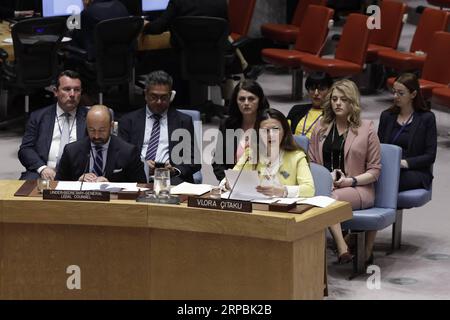 (190610) -- UNITED NATIONS, June 10, 2019 -- Vlora Citaku (R, front), representative of Kosovo, briefs the United Nations Security Council on Kosovo, at the UN headquarters in New York, on June 10, 2019. The top UN envoy in Kosovo, Zahir Tanin, warned on Monday that the situation in Kosovo can slide backward. ) UN-SECURITY COUNCIL-KOSOVO LixMuzi PUBLICATIONxNOTxINxCHN Stock Photo