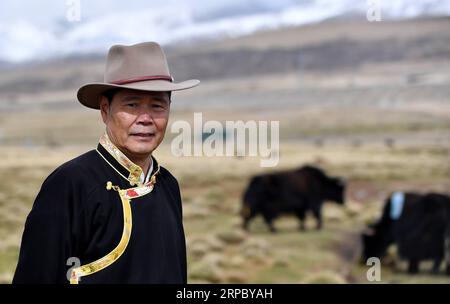 (190619) -- LHASA, June 19, 2019 -- Wu Yuchu is seen with yaks on a grassland in the north of southwest China s Tibet Autonomous Region, May 23, 2019. Over 40 years ago, Wu Yuchu was trapped in a blizzard in southwest China s Tibet Autonomous Region. It was 1977, two years after Wu had started working in Tibet. He and more than 50 other people had to hide in a mud-brick house. Temperatures outside dropped to minus 30 degrees Celsius, and food was running out. Hope seemed to be fading away. When the rescue team finally found them with yaks carrying life-saving supplies, Wu felt immediately bond Stock Photo