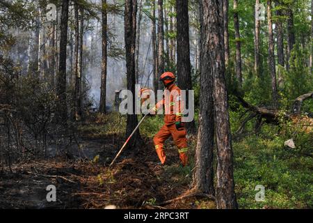 (190622) -- GENHE, June 22, 2019 (Xinhua) -- Firefighters stand guard at a the burned area in Xiushan forest farm of the Greater Hinggan Mountains, north China s Inner Mongolia Autonomous Region, June 22, 2019. A forest fire that raged for three days in north China s Inner Mongolia Autonomous Region has been contained, local authorities said Saturday. The clean-up operation is underway at Xiushan, according to the firefighting headquarters. After a huge effort by over 5,000 firefighters, the fire was put under control on all fronts by 4:40 p.m. Saturday. (Xinhua/Liu Lei) CHINA-INNER MONGOLIA-F Stock Photo