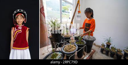 (190626) -- KUNMING, June 26, 2019 () -- Combo photo taken on June 24, 2019 shows the portrait of Yang Xuhai, a 13-year-old sixth grade student of Lisu ethnic group (L, photo taken by Qin Qing), and Yang watering flowers at home in Daxingdi Township of Lushui City, southwest China s Yunnan Province (R, photo taken by Hu Chao). Yang hopes to learn gardening when grows up. Zhiguo minorities are special members of China s 56 ethnic groups. The term Zhiguo refers to minority groups who, before modernization, had lived in relative isolation and skipped the transition period associated with feudal m Stock Photo