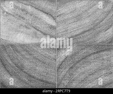 Wooden look black white rectangular seamless ceramic tile, ceramic and wood abstract background texture pattern Stock Photo