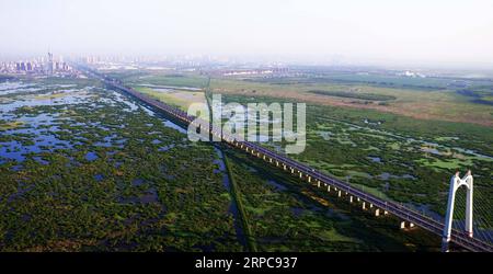 (190628) -- BEIJING, June 28, 2019 -- Photo taken on July 4, 2017 shows scenery of Longfeng wetland nature reserve in Daqing City, northeast China s Heilongjiang Province. When summer comes, the Fujin National Wetland Park in northeast China s Heilongjiang Province becomes a paradise for wild birds. However, it was a completely different scene years ago. The wetland park used to be a huge tract of low-lying farmland. The original ecological system of the wetland has been restored since policies were implemented to turn marginal farmland into forests, grassland and wetlands across the province. Stock Photo