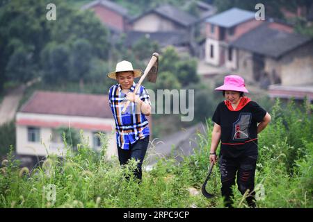 (190628) -- CHONGQING, June 28, 2019 -- Liu Yi (L) and his wife Lu Kai walk to a pepper planting base in Yulong Village of Nanping Township in Nanchuan District, southwest China s Chongqing, June 27, 2019. Despite losing his right arm in an accident at the age of nine, 44-year-old Liu Yi has never lowered his head towards destiny. After graduation from a vocational school in 1994, he tried a good many jobs like dishwasher, fruit dealer and coal miner. Since 2010, he has decided to start up his own business at his hometown by organizing villagers to plant bamboo roots and raising chickens. His Stock Photo