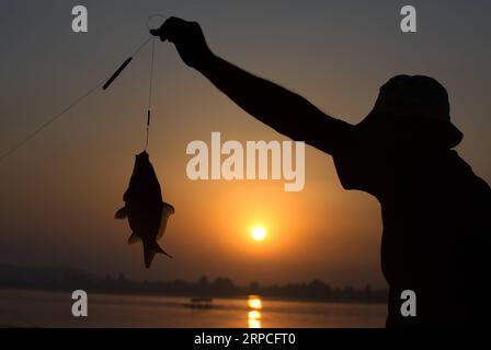 (190704) -- SRINAGAR, July 4, 2019 (Xinhua) -- Photo taken on July 3, 2019 shows a fisherman holding a fish caught from Dal Lake in Srinagar city, the summer capital of Indian-controlled Kashmir. (Xinhua/Javed Dar) KASHMIR-SRINAGAR-DAILY LIFE-SUNSET PUBLICATIONxNOTxINxCHN Stock Photo