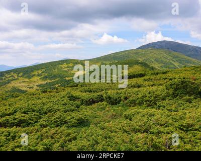 mountainous landscape of ukraine. mountains of chornohora ridge. warm summer forenoon Stock Photo