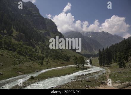 (190710) -- SRINAGAR, July 10, 2019 -- Photo taken on July 8, 2019 shows the scenery of a river at Lidder Wath in Pahalgam, south of Srinagar city, the summer capital of Indian-controlled Kashmir. ) KASHMIR-SRINAGAR-DAILY LIFE JavedxDar PUBLICATIONxNOTxINxCHN Stock Photo