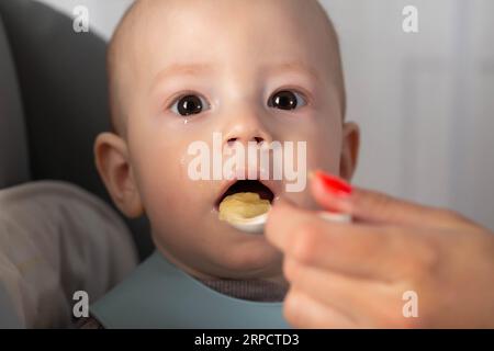 A mother feeds a baby boy who is 8 months old with meat puree. Feeding an infant. Stock Photo