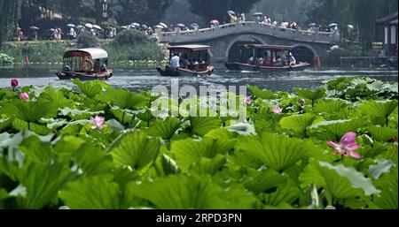 (190721) -- BEIJING, July 21, 2019 -- Tourists visit Yuanmingyuan Ruins Park in Beijing, capital of China, July 21, 2019. ) CHINA-BEIJING-YUANMINGYUAN-LOTUS-TOURISM (CN) LixXin PUBLICATIONxNOTxINxCHN Stock Photo