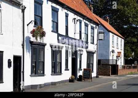 The Wolf Pack pub in the village of Patrington, East Yorkshire, England UK Stock Photo