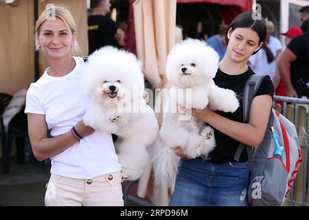 (190727) -- BEIJING, July 27, 2019 -- People carry their dogs at the Four Summer Night Dog Shows in Split, Croatia, July 25, 2019. ) XINHUA PHOTOS OF THE DAY MirandaxCikotic PUBLICATIONxNOTxINxCHN Stock Photo