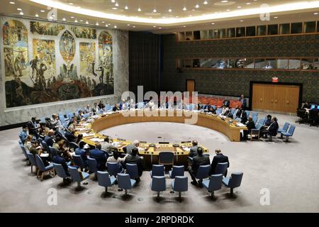 (190810) -- UNITED NATIONS, Aug. 10, 2019 -- Photo taken on Aug. 10, 2019 shows United Nations Security Council holding an emergency meeting on the situation in Libya at the UN headquarters in New York. United Nations Security Council on Saturday strongly condemned the car bomb attack in Benghazi, Libya, in which three UN staff members were killed and several others injured. ) UN-SECURITY COUNCIL-EMERGENCY MEETING-LIBYA LixMuzi PUBLICATIONxNOTxINxCHN Stock Photo