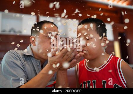 (190813) -- NANCHANG, Aug. 13, 2019 -- A staff member blows chips of radix paeoniae alba with a student at a plant in Zhangshu, east China s Jiangxi Province, Aug. 13, 2019. Zhangshu is a well-known distribution center of traditional Chinese medicine (TCM). To promote Chinese medicine culture, Tianqitang Pharmacy, a local TCM producer, invites students to visit and experience the production of Chinese medicine. ) CHINA-JIANGXI-ZHANGSHU-STUDENT-CHINESE MEDICINE (CN) ZhouxMi PUBLICATIONxNOTxINxCHN Stock Photo