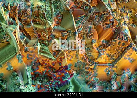 The image presents mixture of sugar and salt, crystallized  photographed through the microscope in polarized light at a magnification of 100X Stock Photo